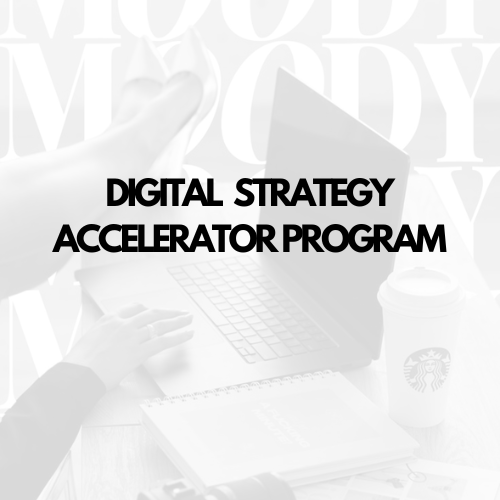 Digital Strategy Accelerator Program
